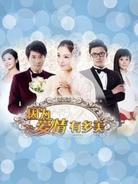 因为爱情有多美DVD(全集)