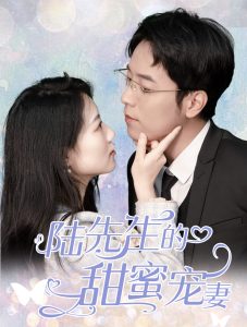 陆先生的甜蜜宠妻第1-20集