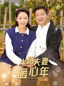 半路夫妻暖心年第61-80集